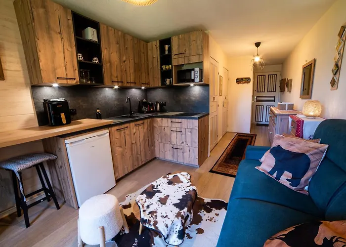 Petit Cocon Plein Sud Vue Montagnes Lesclesdenicole * Barcelonnette