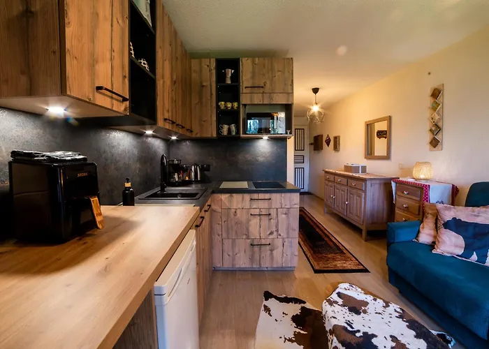 Petit Cocon Plein Sud Vue Montagnes Lesclesdenicole Apartamento